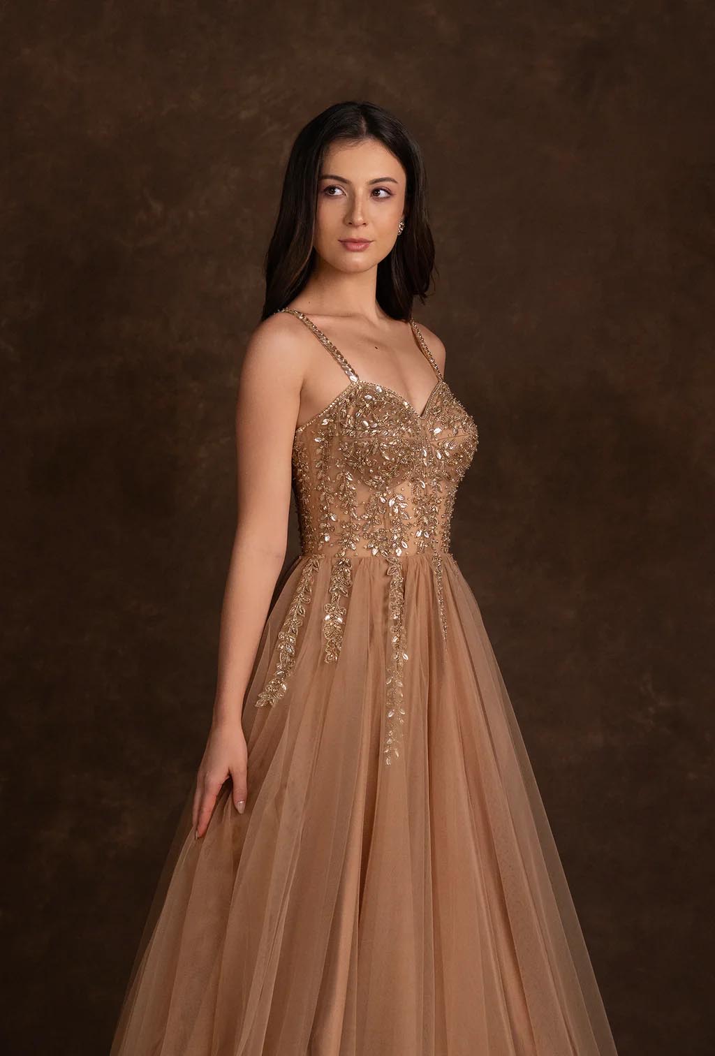 Alaya Mocha Brown Corset Style Stonework Gown