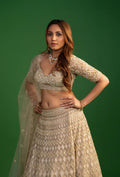 Mirage Golden Green Net Resham Work Lehenga Set