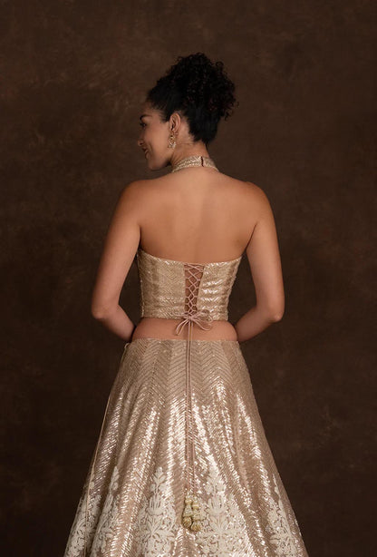 Ferne Contemporary Corset Lehenga with Sequins and Stonework