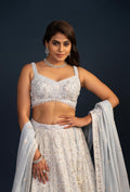 Serenade Powder Blue Heavy Embroidery Bemberg Organza Lehenga Set