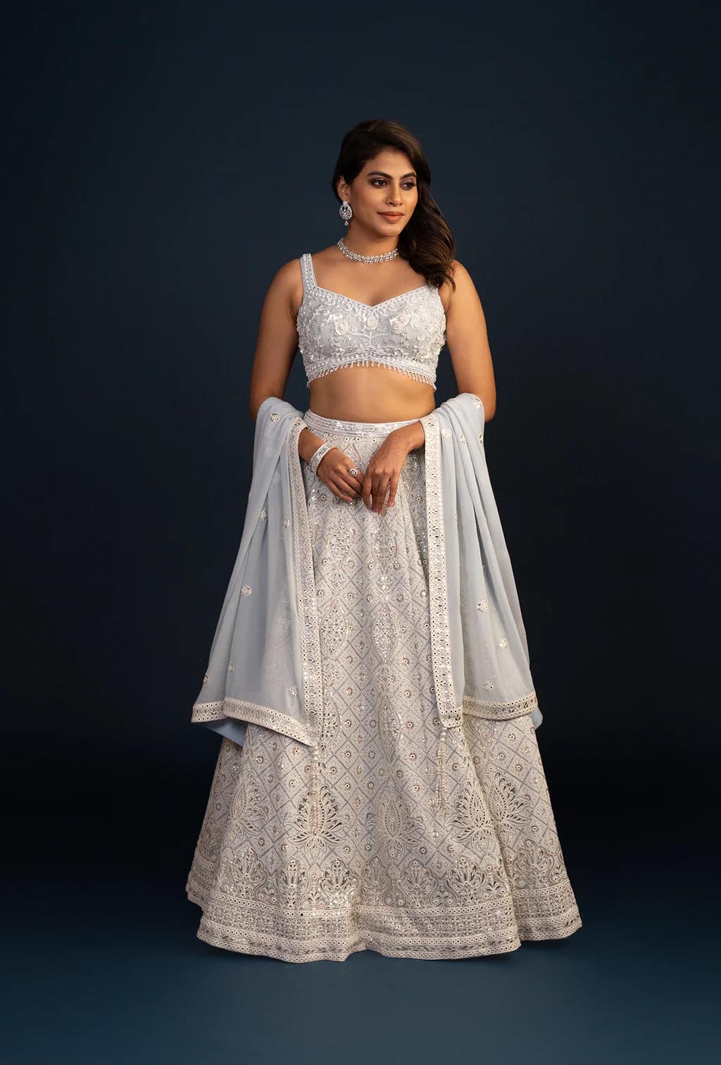 Serenade Powder Blue Heavy Embroidery Bemberg Organza Lehenga Set