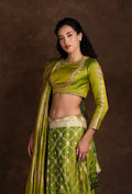Parrot Green Mashru Silk Saree with Jaalwork in Zari