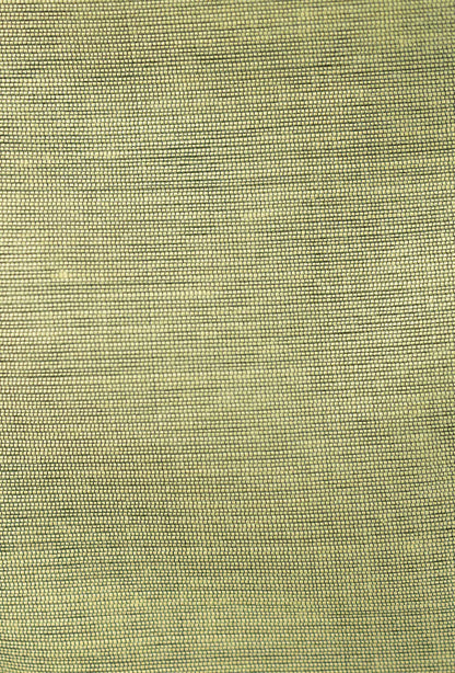 Refreshing Mint Green Silk Kurta Set With Dupatta & Pants