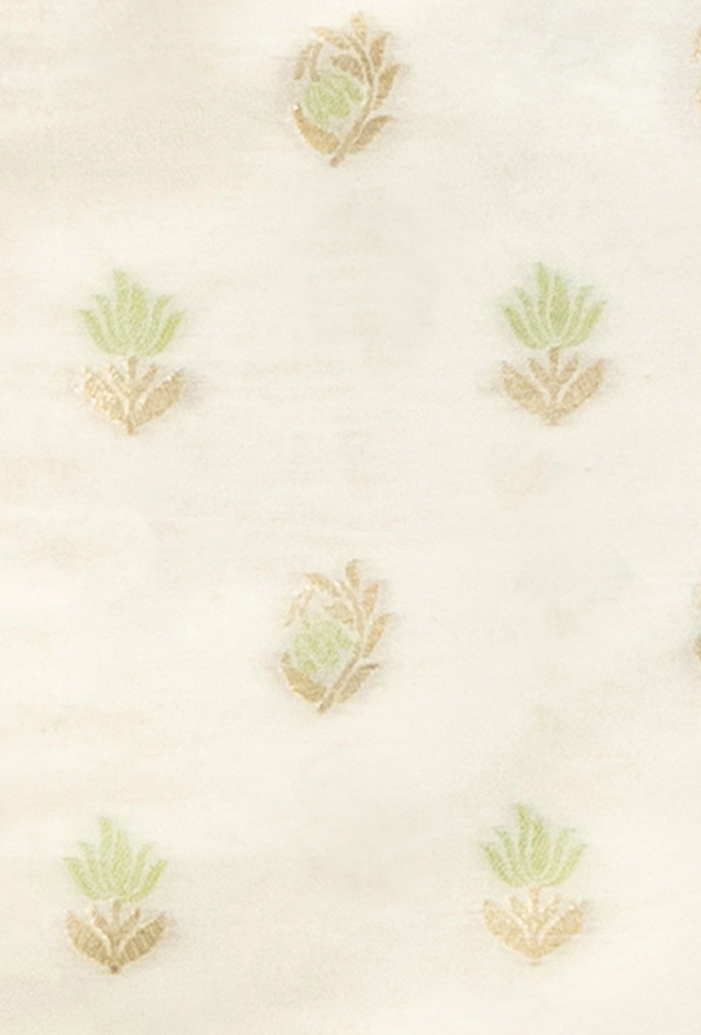 Ivory & Green Chanderi Suit Set