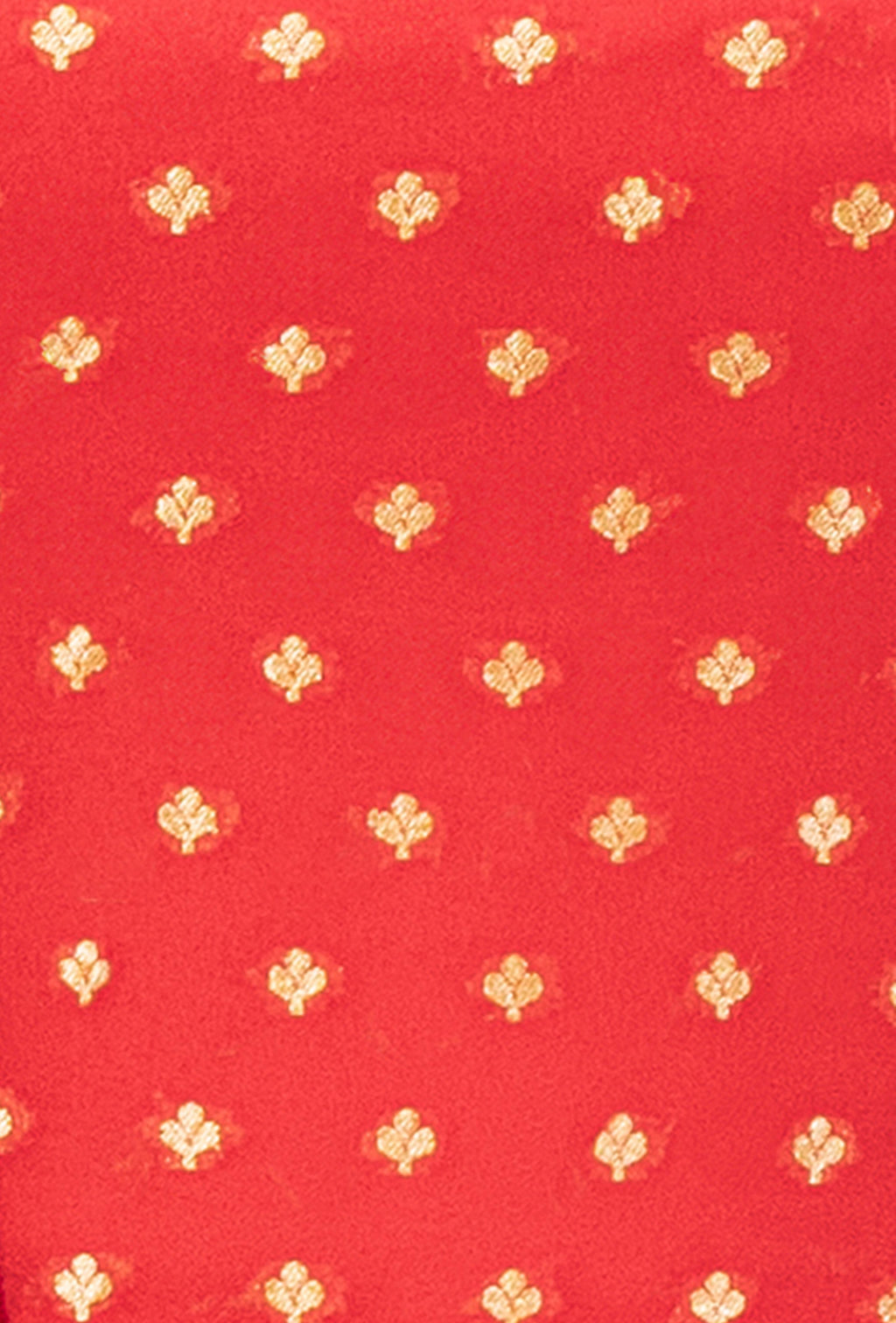 Red Elegance Georgette Kurta Set