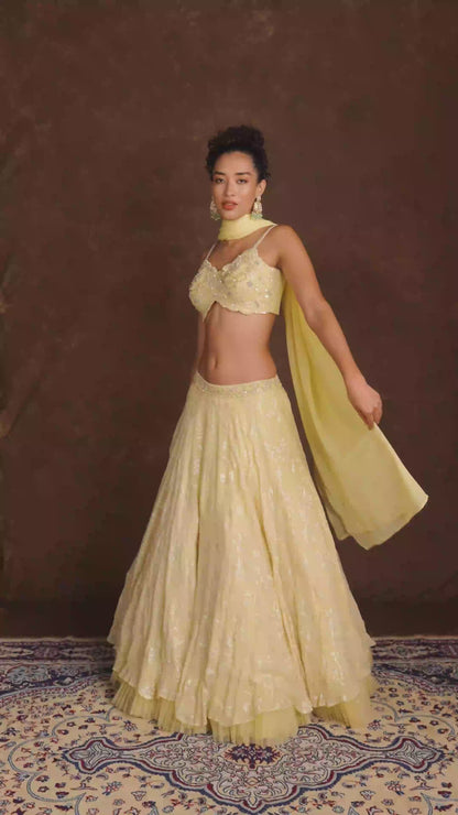 Iris Pastel Yellow Sequined Embroidery Lehenga Set